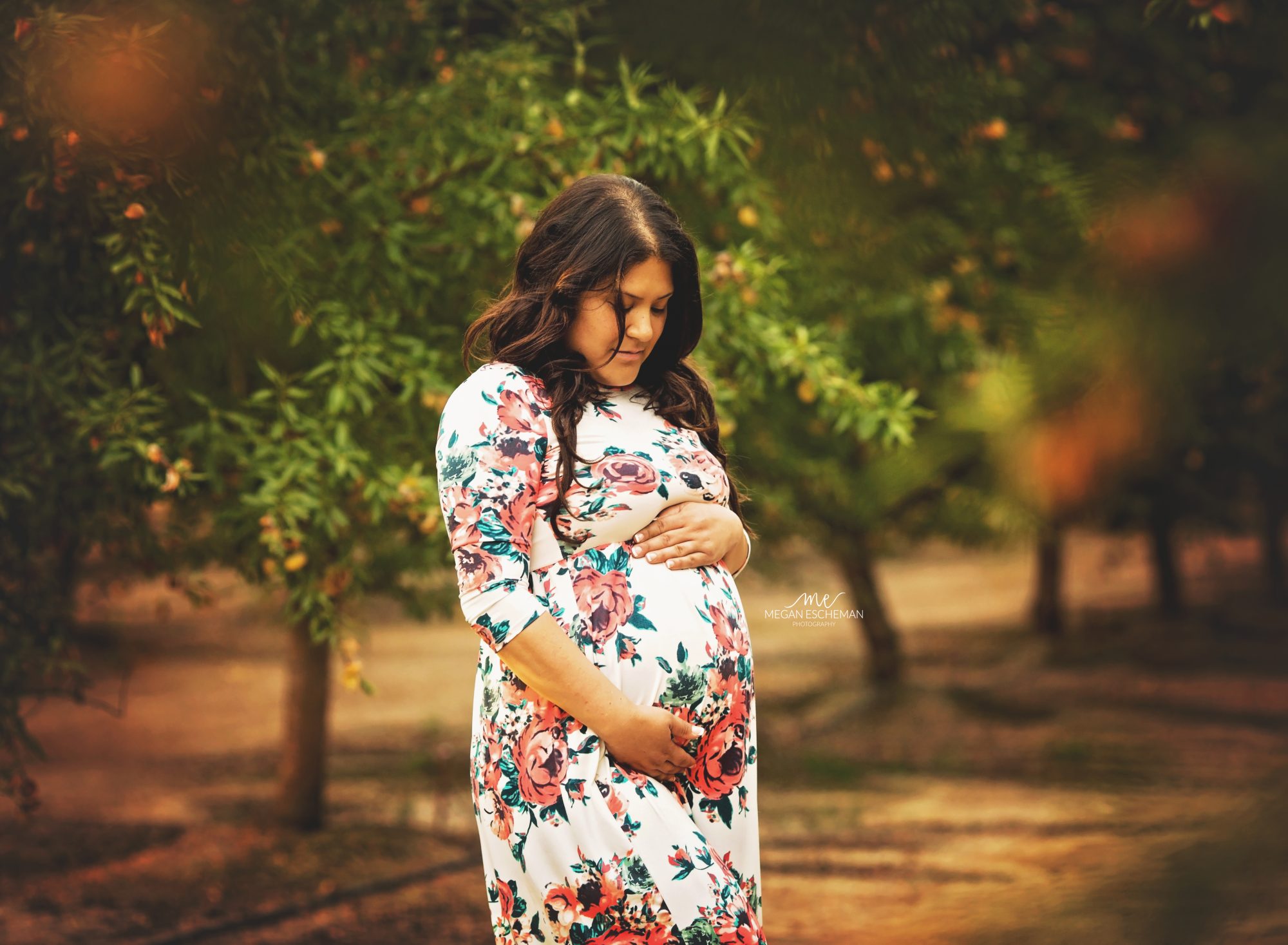 maternity photography roseville ca