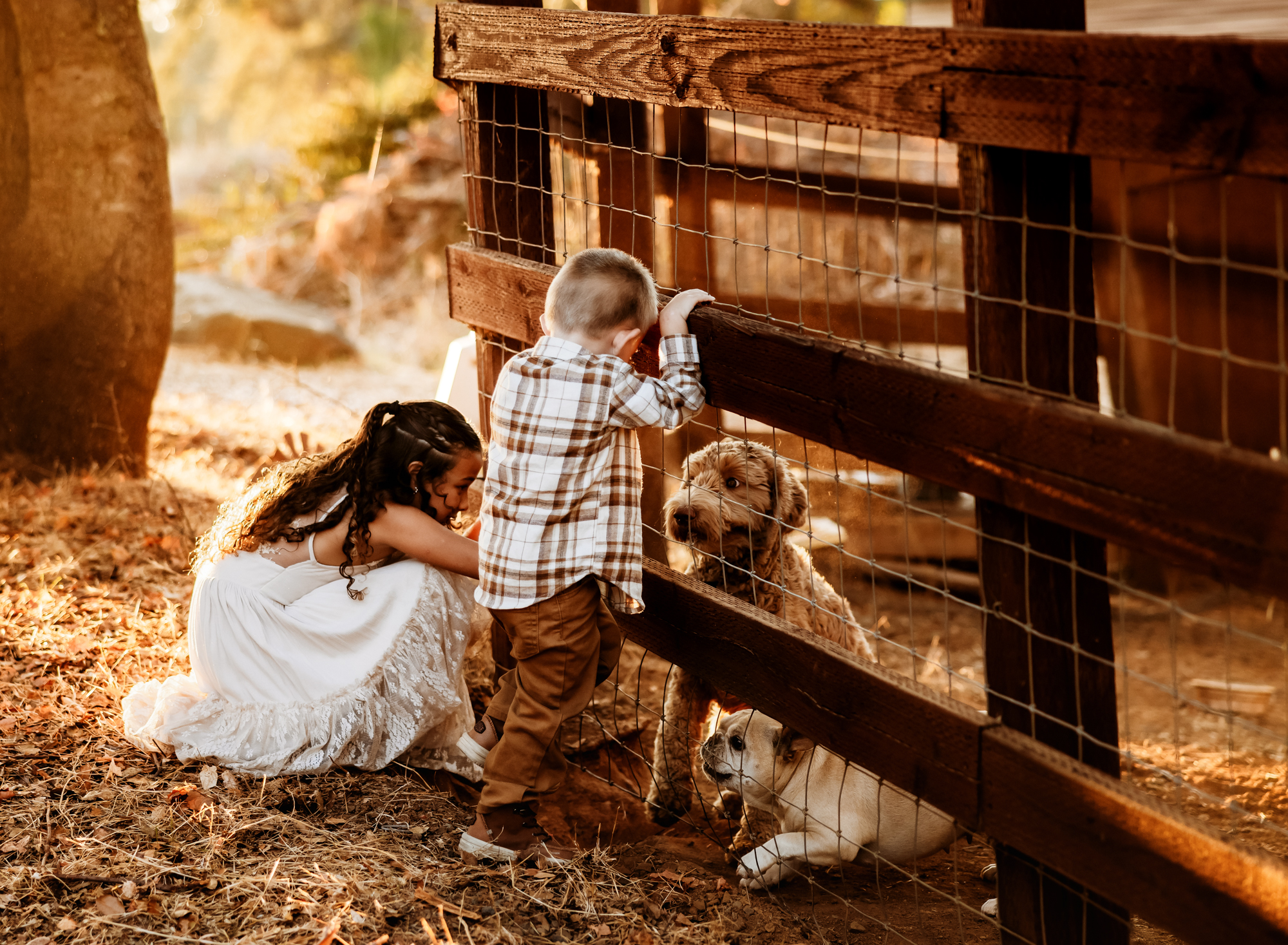 capturing everyday moments in life during family photos