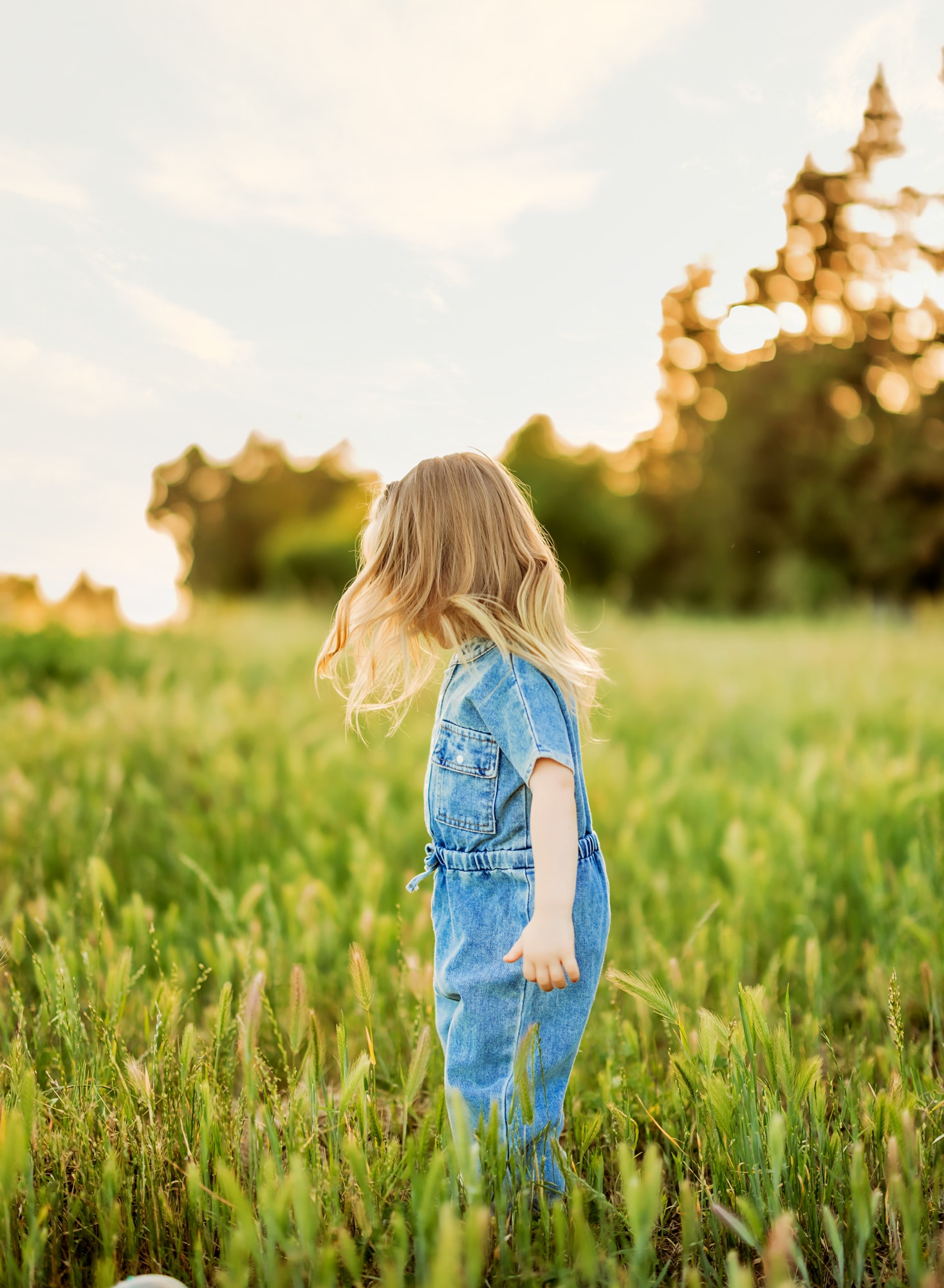 Roseville Family Photographer