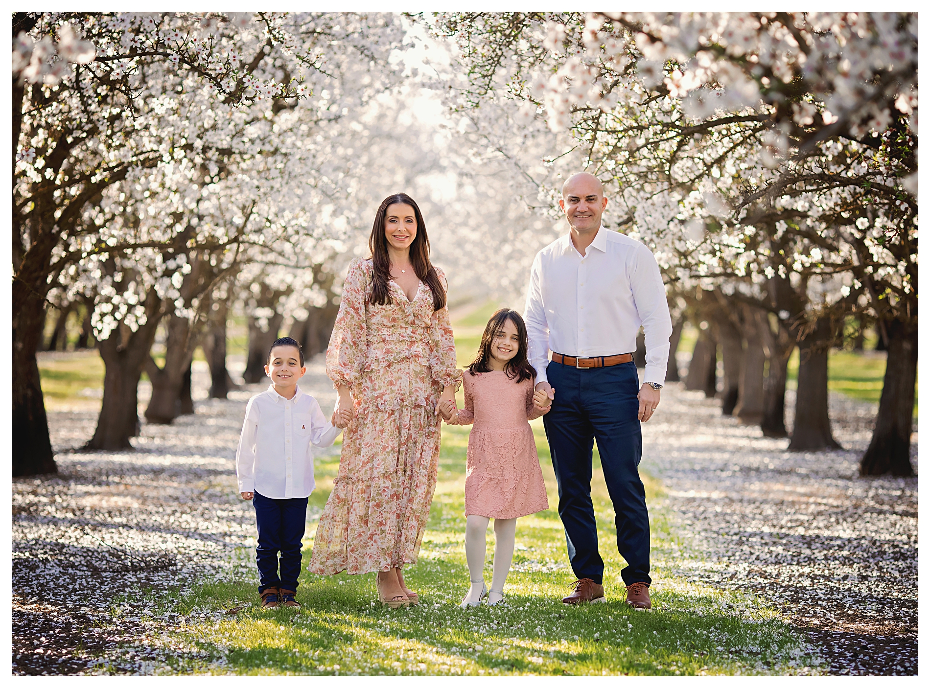 family almond orchard photos