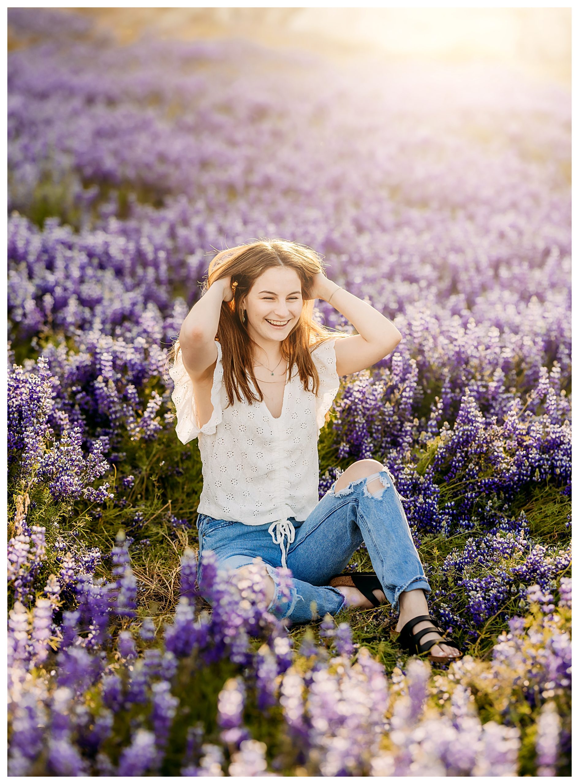 lupine session
